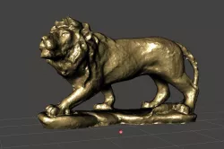 lion on a rock