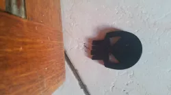 Skull door stop