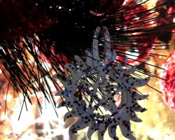 Supernatural Keyring and or Christmas Ornament