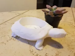 Turtle Planter