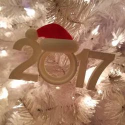 2017 Christmas Picture Ornament w/ Santa Hat