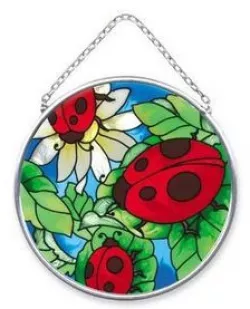 3 Ladybugs