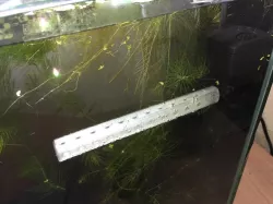 Aquarium pump nozzle 