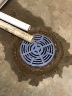 Basement Drain Cover