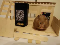 Hamster Vending Machine (Syrian Hamster Sized Feeder)