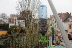 Mangeoire à oiseau-bird feeder