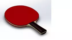 Ping pong paddle 