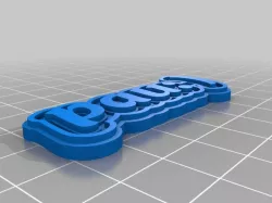 simon pau