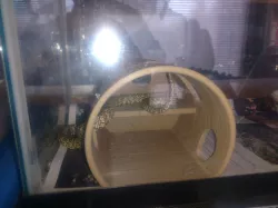 Snake Shed and Hide Round House