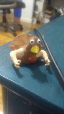 The Turkin (Turkey that wants a hug)