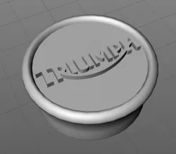 Triumph SSSA hub/axle cap
