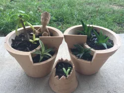 3 Different pots