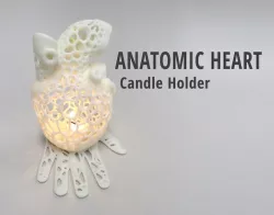 Anatomic Heart Candle Holder