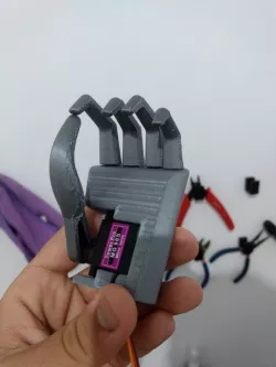 Ben - Prosthetic Hand