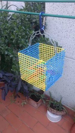Cesta pinzas para tendedero