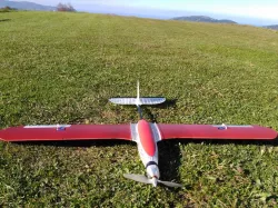 "Evolution"  kit trainer conversion 3d printed plane