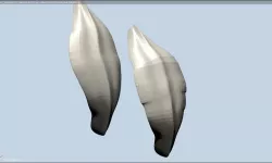 Feather Creator (Blender file)