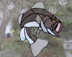 Gray Large Mouth Striper Bass