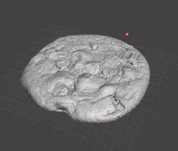 High Res Scan, Chocolate Chip Cookie.