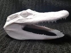 High Resolution Scan of Florida Alligator Head