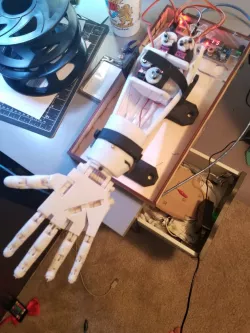 inMoov Display