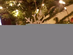 Snowflake Decoration