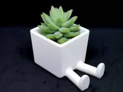 Succulent Planter / 3D printed planter / Legged Planter