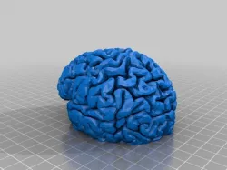 Tealight Lit Brain 