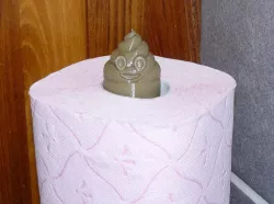 Toilet roll stand