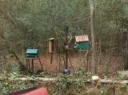 Bird Feeder Pole Branch Holder