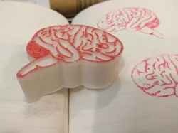 Brain Stamp