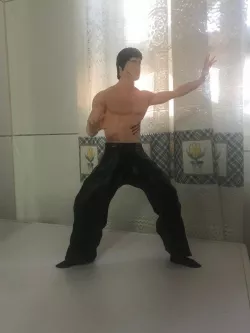 Bruce lee 2 piezas