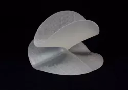 Calyx - singular algebraic surface