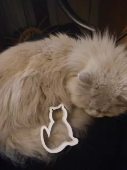 Cat shaped Cookie cutter