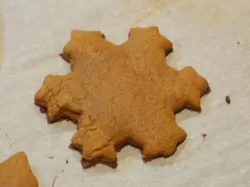 Koch snowflake cookie cutter