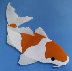 Koi Fish