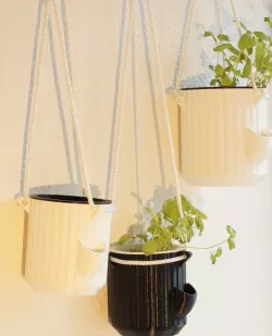 Self-Watering Planter