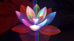 Servo Flower 