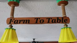 Sunflower Track Light ( see video for details )