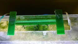 Acrylic Aquarium Plant Holder