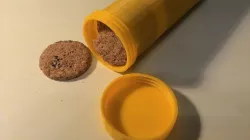 biscuits container