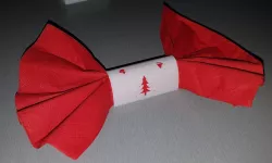 Christmas napkin holder (porte serviette pour Noel)