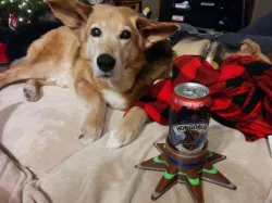 Couch Beer Holder