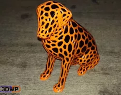 Dual Color Labrador