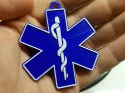 EMS Gladeo Keychain