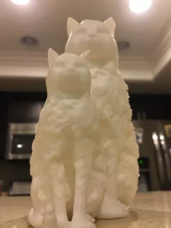 Furry Cat