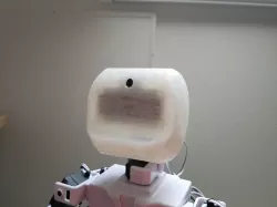 Head for JD Humanoid