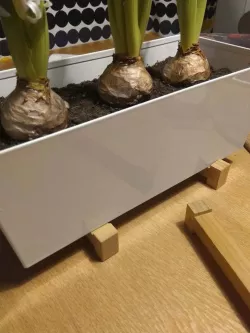 IKEA BITTERGURKA Flowerpot Holder