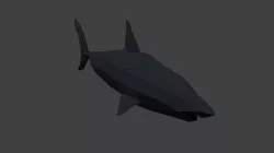 Low  Poly Shark