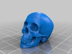 Skull low res printable closed mesh